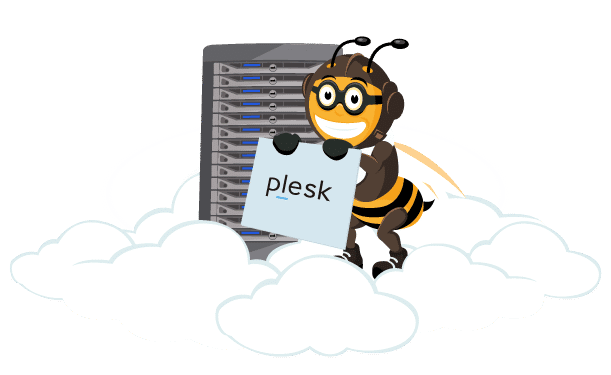 Common Issues in Plesk